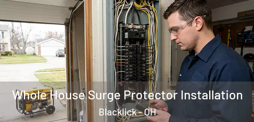Whole House Surge Protector Installation Blacklick - OH